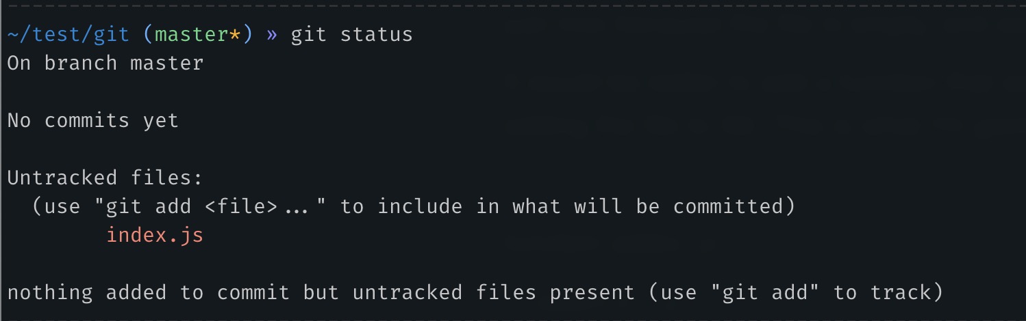 "git status" command output