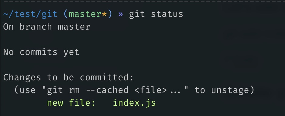 another "git status" command output