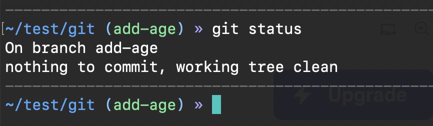 Output in the terminal which says: On branch add-age. Nothing to commit, working tree clean
