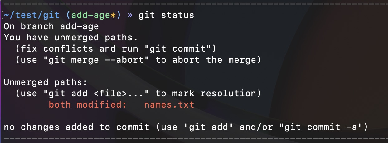 On branch add-age You have unmerged paths. (fix conflicts and run "git commit") (use "git merge --abort" to abort the merge) Unmerged paths: (use "git add ‹file>..." to mark resolution) both modified: names. txt no changes added to commit (use "git add" and/or "git commit -a")